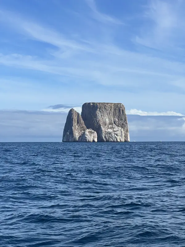 Plonger Kicker Rock